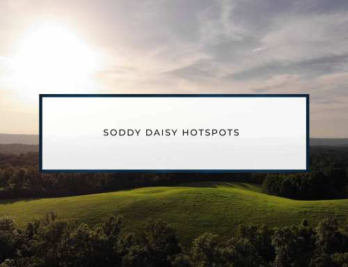 Soddy Daisy Hotspots