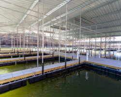 Docks_10